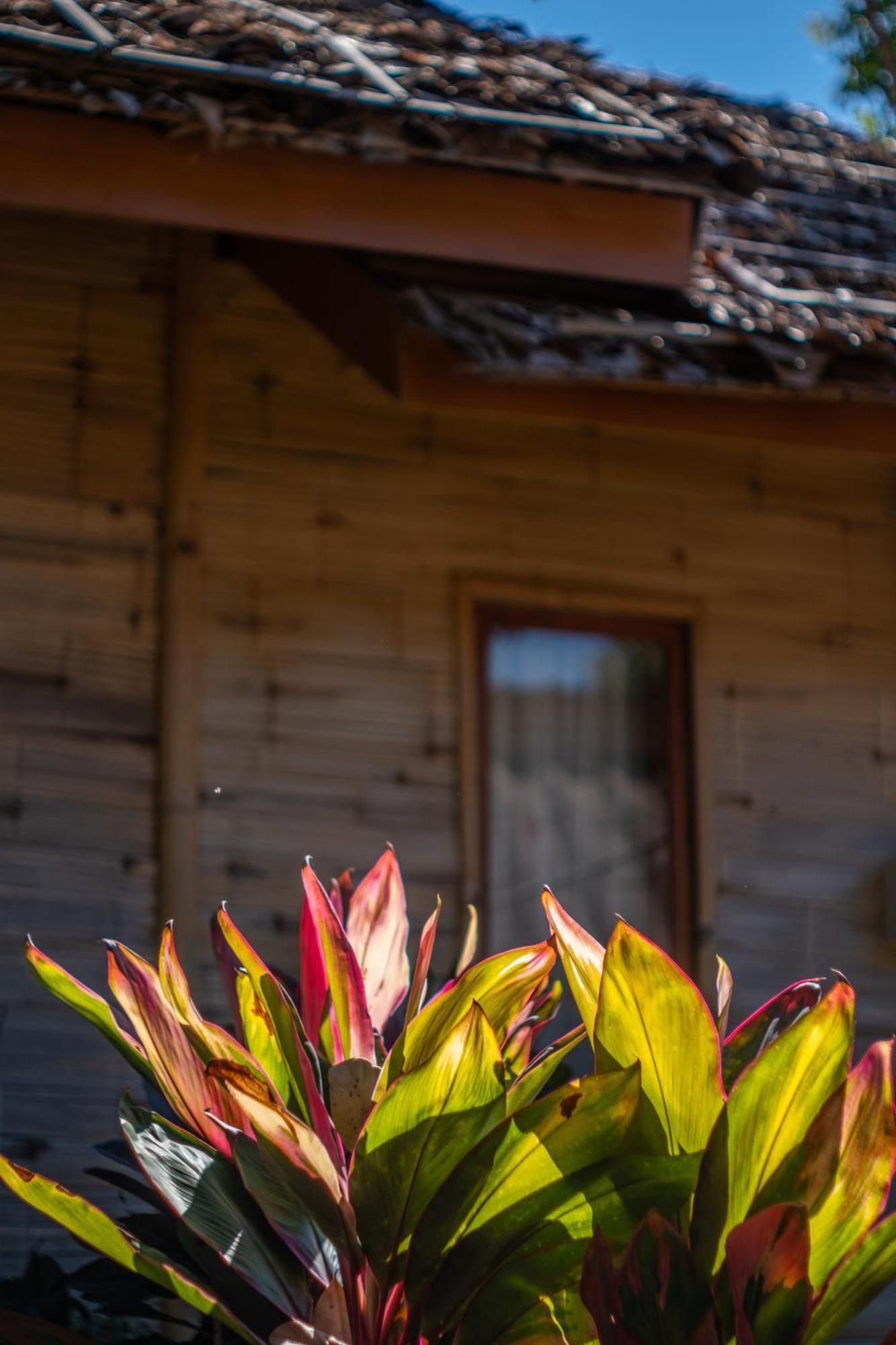 The Nest House Pai Exterior foto