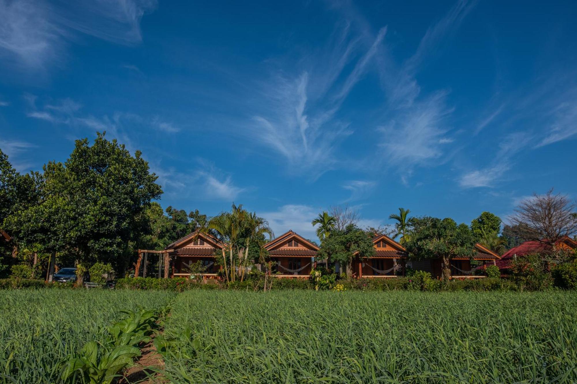 The Nest House Pai Exterior foto