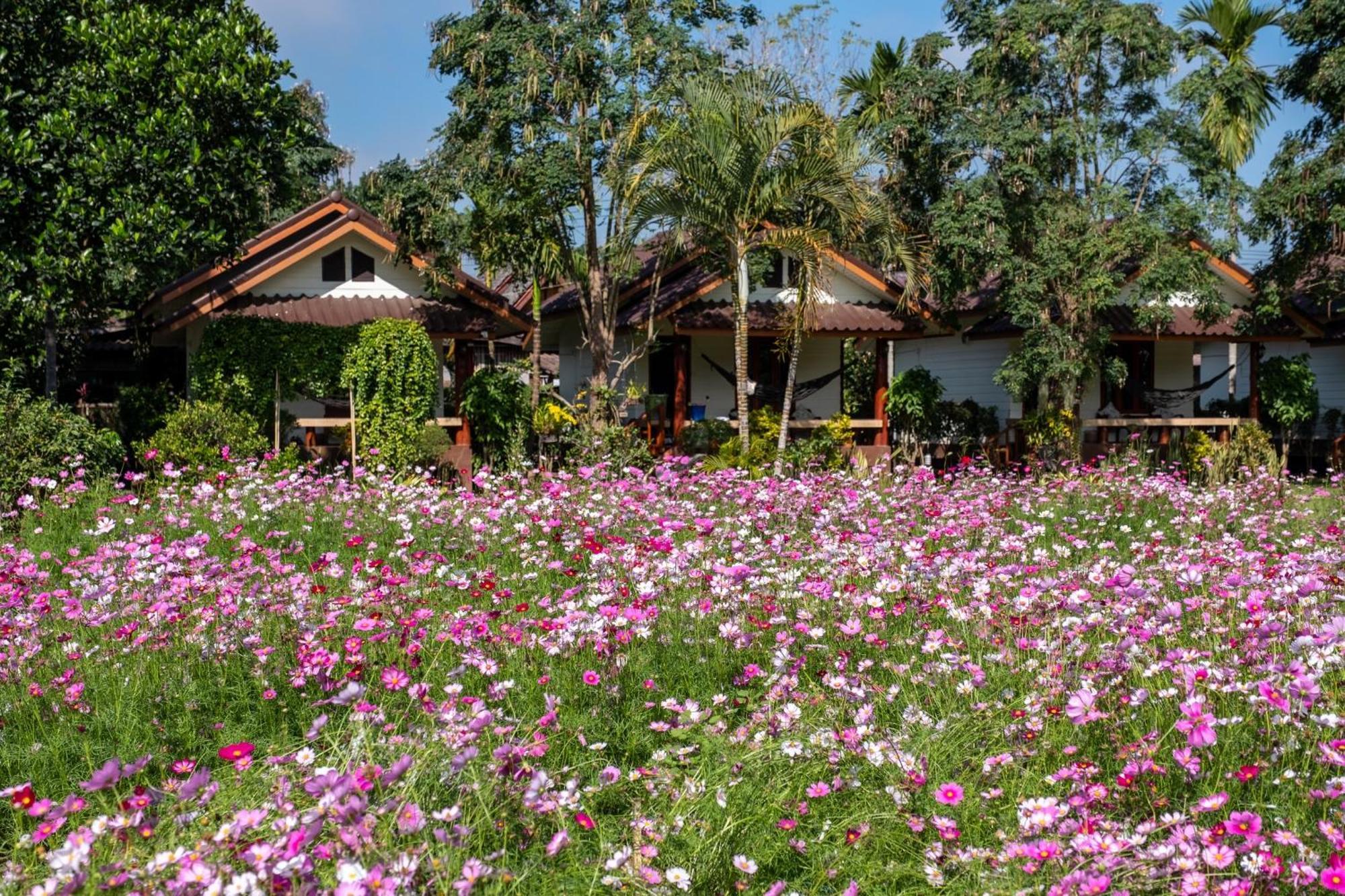 The Nest House Pai Exterior foto