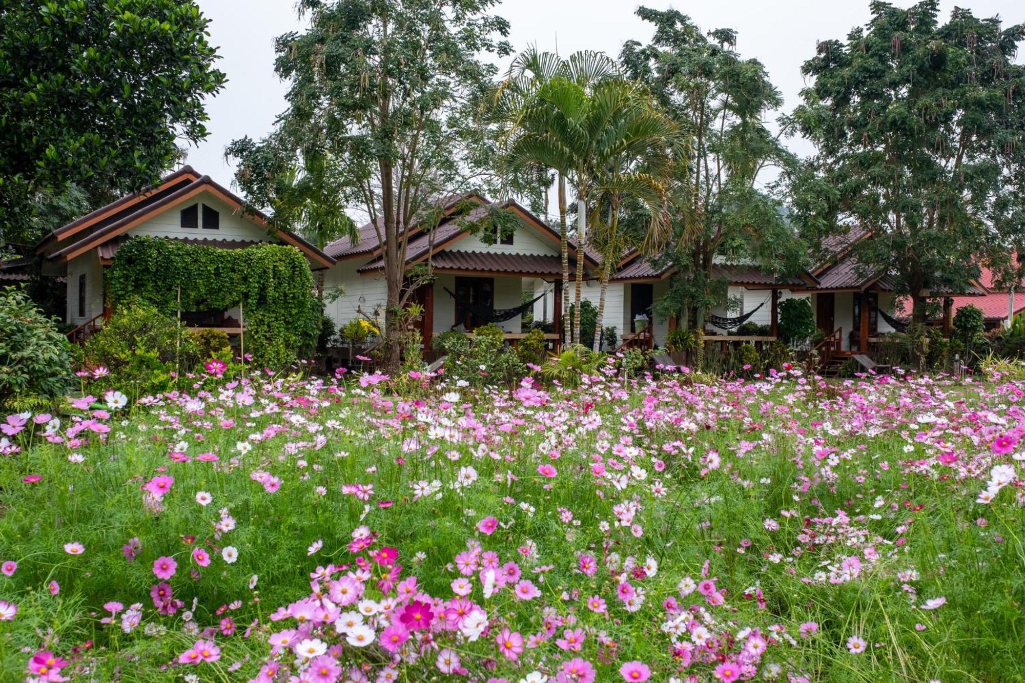 The Nest House Pai Exterior foto