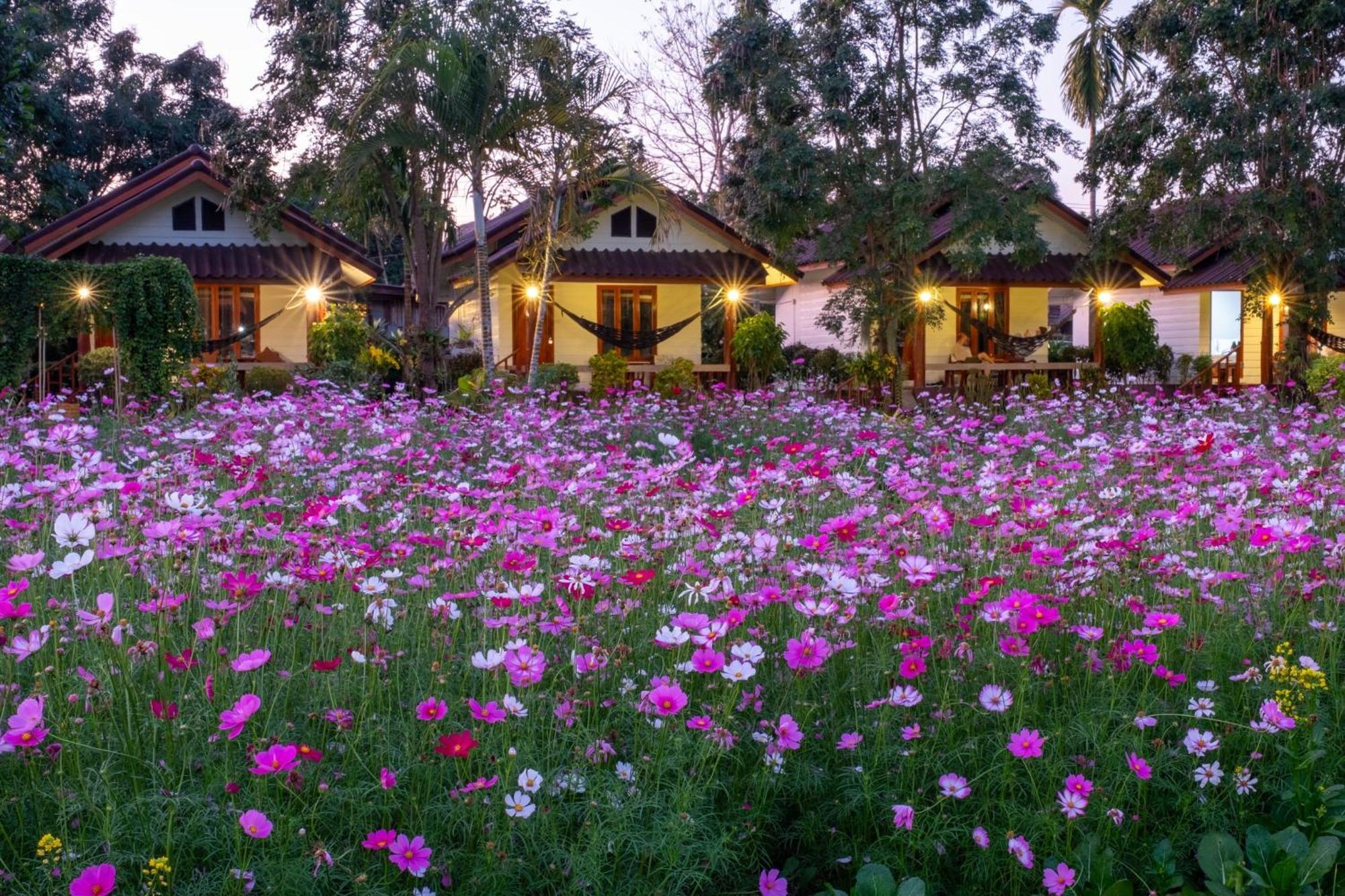 The Nest House Pai Exterior foto