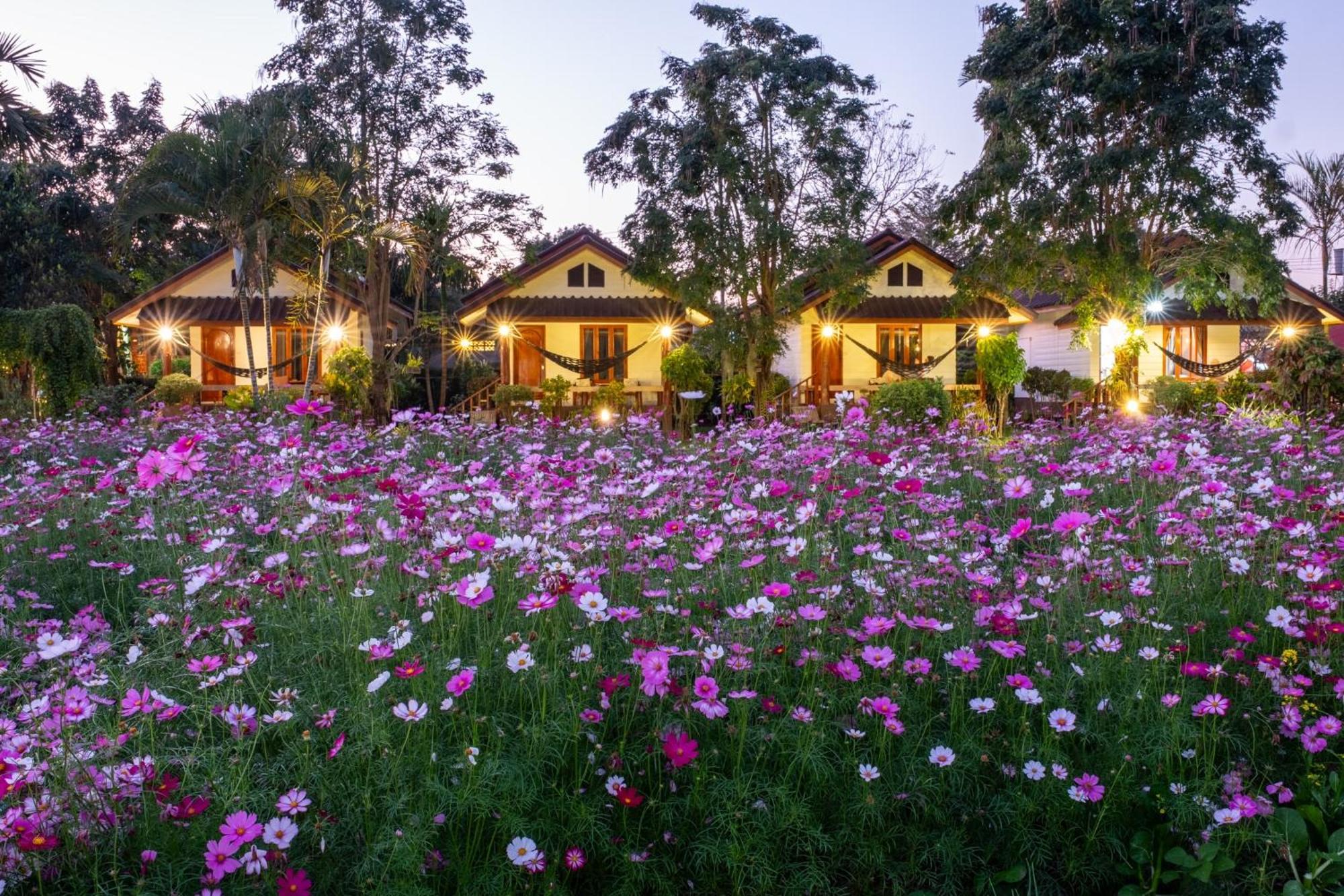 The Nest House Pai Exterior foto