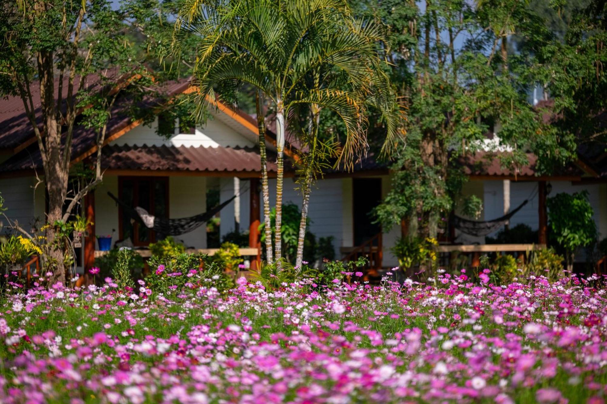 The Nest House Pai Exterior foto
