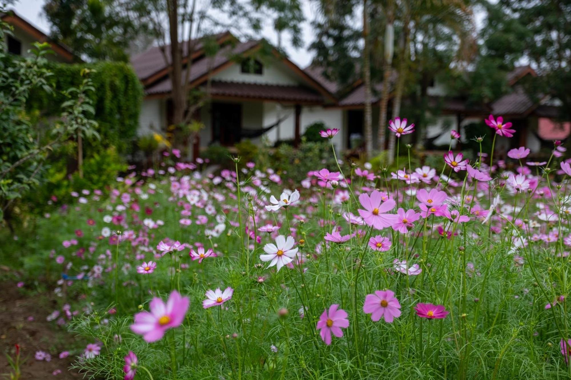 The Nest House Pai Exterior foto