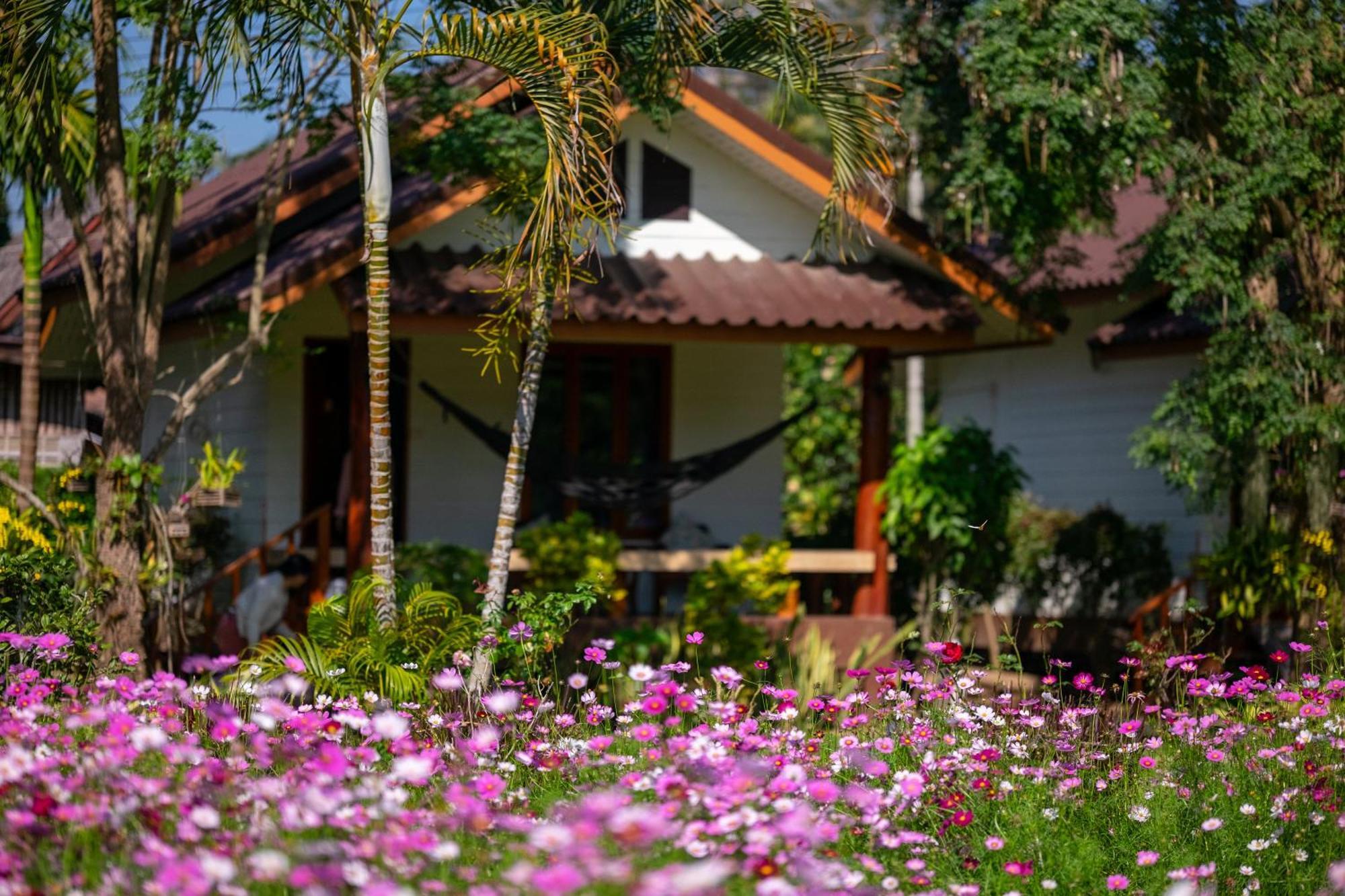 The Nest House Pai Exterior foto