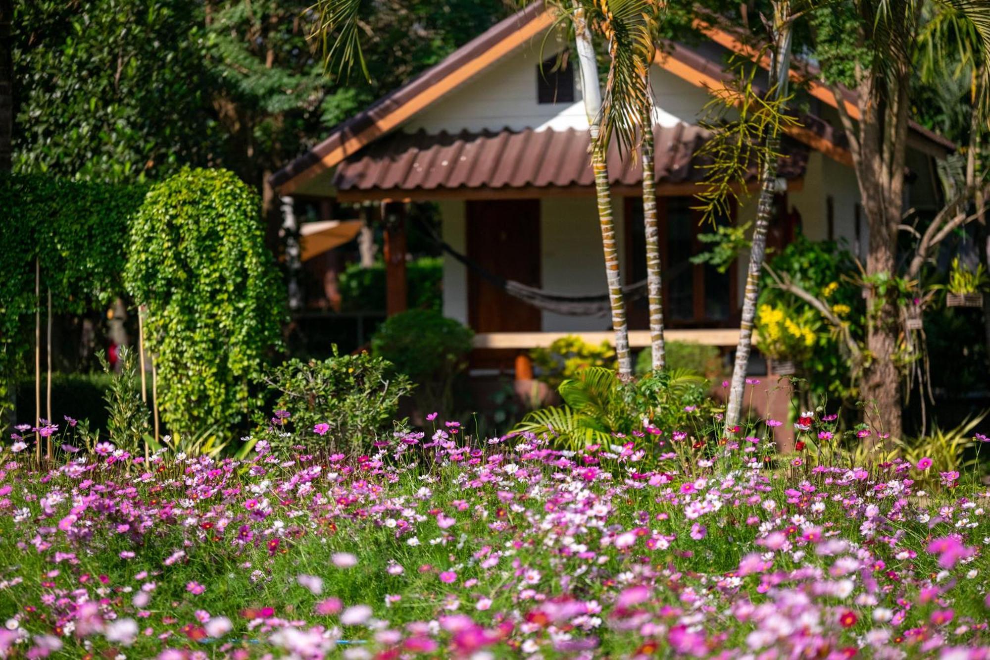 The Nest House Pai Exterior foto